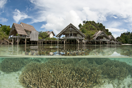 Misool Eco Resort :: Raja Ampat . Indonesia