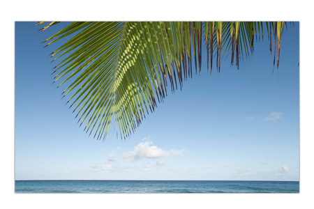 Carambola Beach :: St Croix