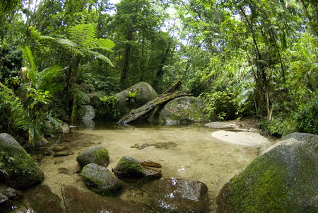 Cape Tribulation :: Port Douglas . Australia