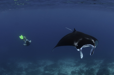 Ali and Manta :: Raja Ampat . Indonesia