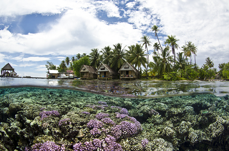 Paradise : Tetamanu . Fakarava