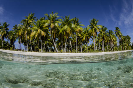 Water view : Fakarava