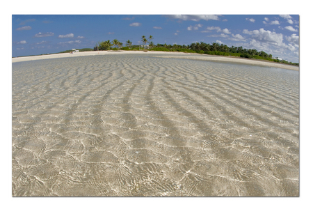 Tahiti Beach :: Abacos . Bahamas