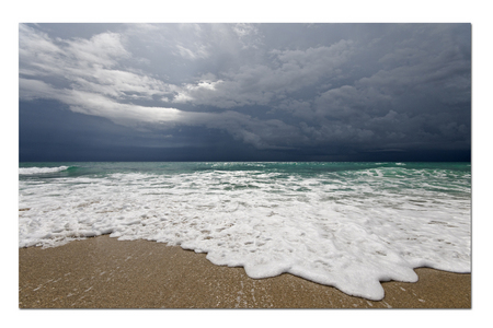 Storm 2 :: Palm Beach