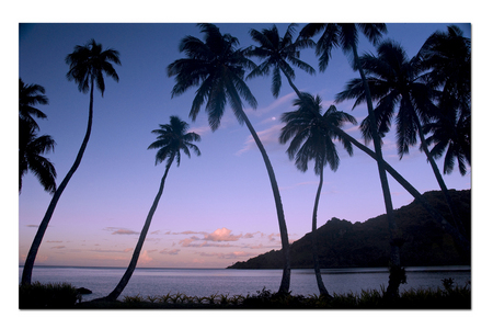 Beqa Lagoon :: Bega Island . Fiji 