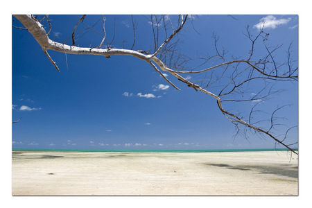 Flats :: Florida Keys