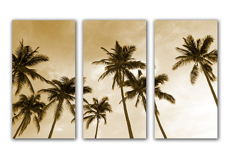 COCONUT GROVE :: Triptych